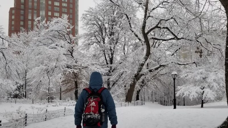 Peter J. Sharp Children's Glade - New York, NY