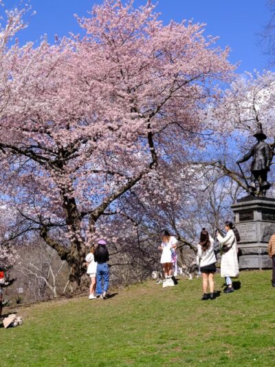 Pilgrim Hill - New York, NY