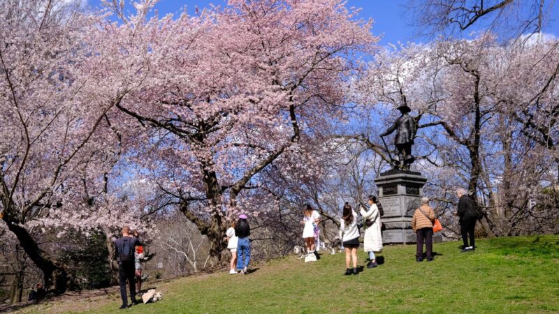 Pilgrim Hill - New York, NY