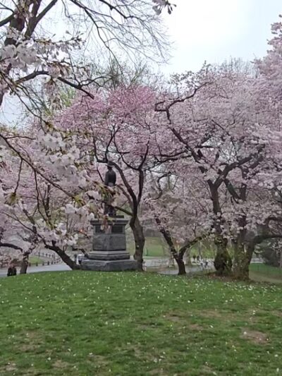 Pilgrim Hill - New York, NY