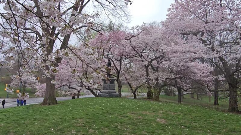 Pilgrim Hill - New York, NY