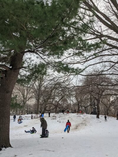 Pilgrim Hill - New York, NY