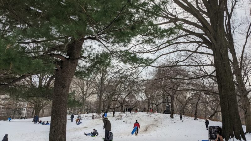 Pilgrim Hill - New York, NY