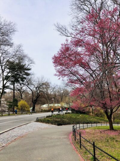 Pilgrim Hill - New York, NY