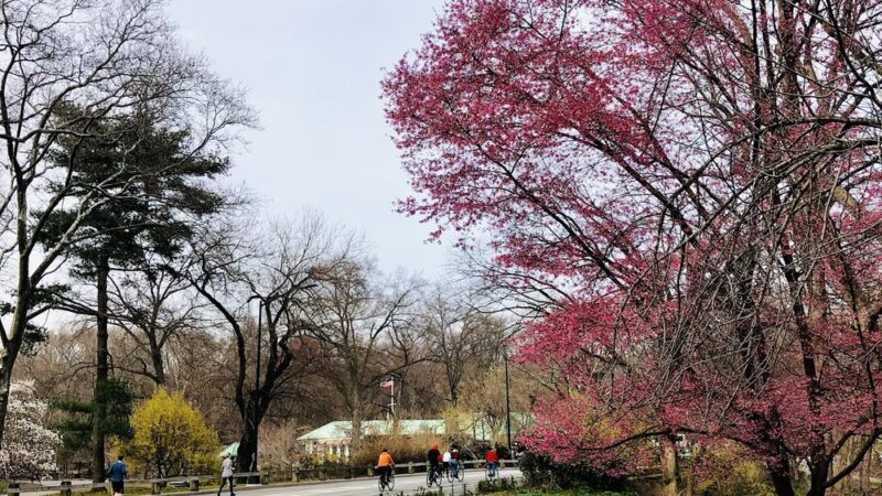 Pilgrim Hill - New York, NY