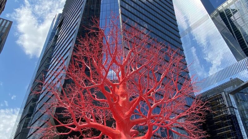 The Spur - New York, NY