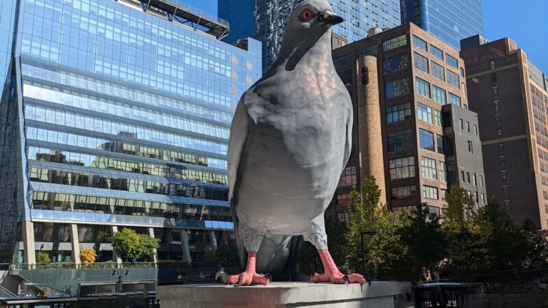 The Spur - New York, NY