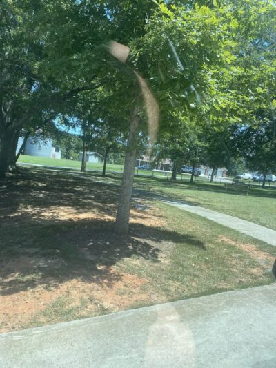 Newborn Park - Newborn, GA