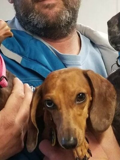 Mt Victoria Kennels - Newburg, MD