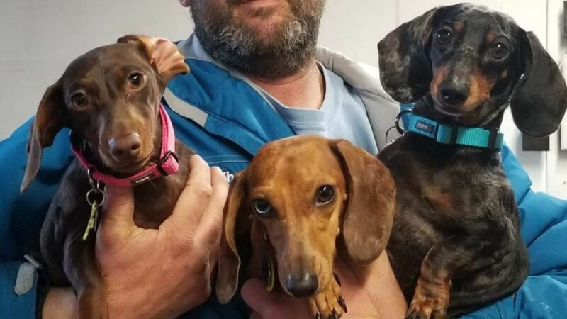 Mt Victoria Kennels - Newburg, MD