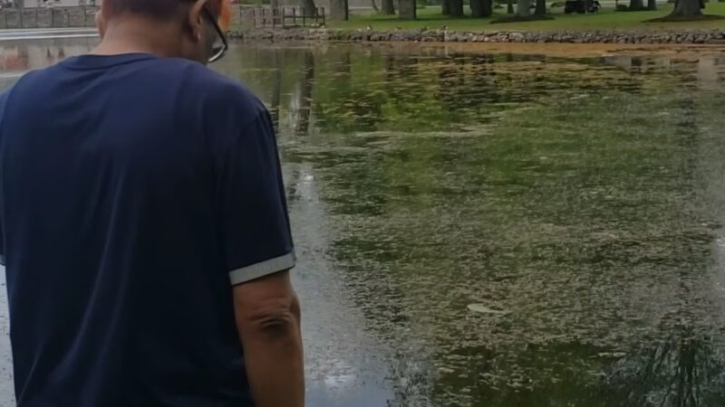 Algonquin Park - Newburgh, NY