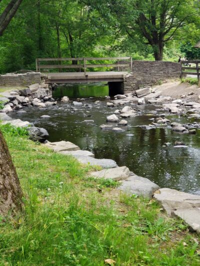 Algonquin Park - Newburgh, NY