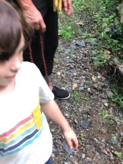 Cronomer Hill Fire Tower - Newburgh, NY