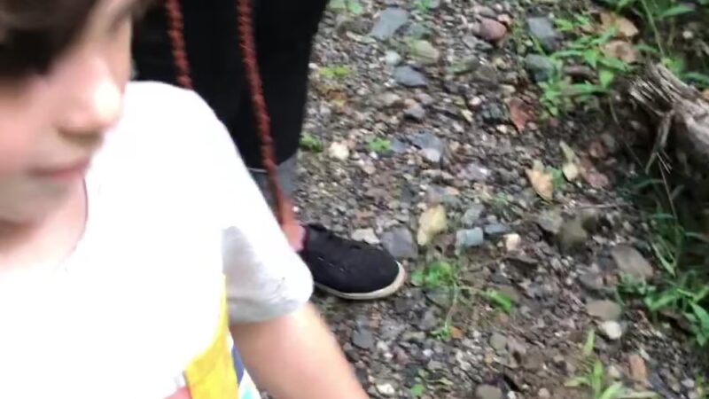 Cronomer Hill Fire Tower - Newburgh, NY