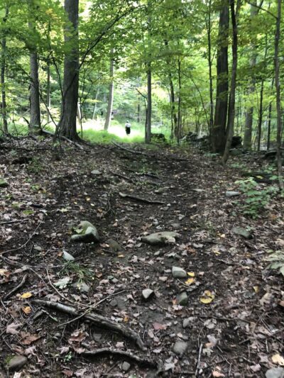 Cronomer Hill Fire Tower - Newburgh, NY
