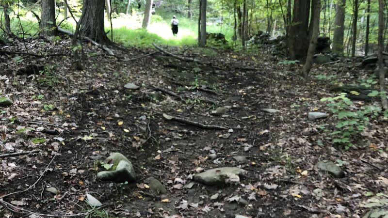 Cronomer Hill Fire Tower - Newburgh, NY