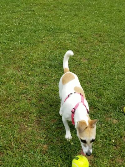 Cronomer Hill Park - Newburgh, NY