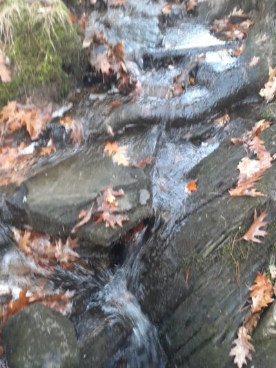 Dodge Point Preserve - Newcastle, ME