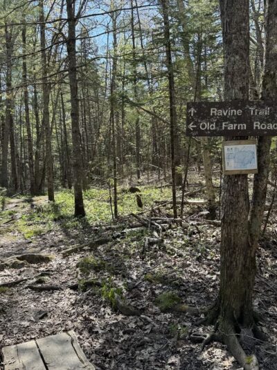 Dodge Point Preserve - Newcastle, ME