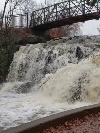 Mill Pond Park - Newington, CT