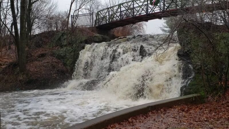 Mill Pond Park - Newington, CT