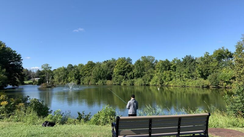 Mill Pond Park - Newington, CT