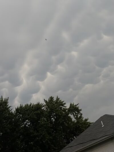 Newman Grove City Park - Newman Grove, NE