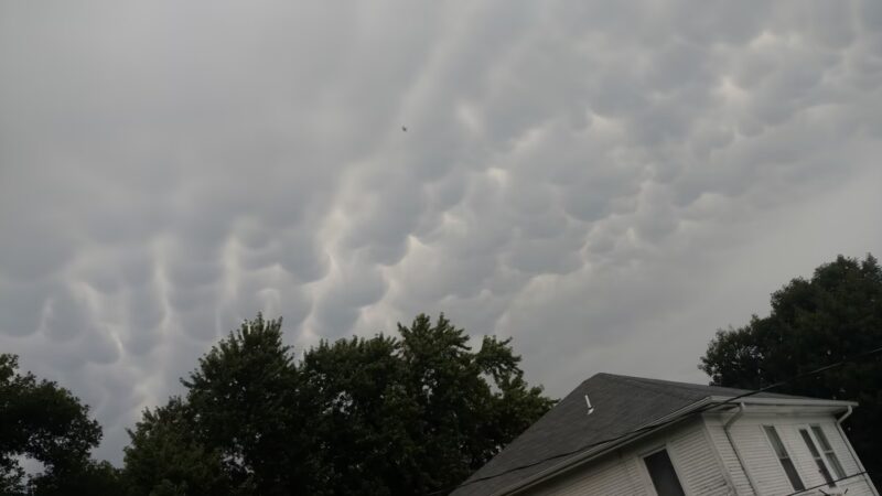 Newman Grove City Park - Newman Grove, NE