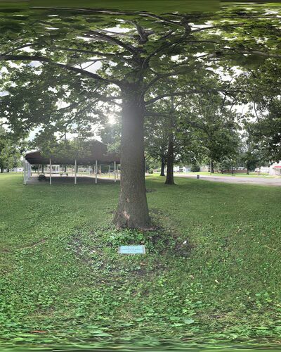 Newman City Park - Newman, IL