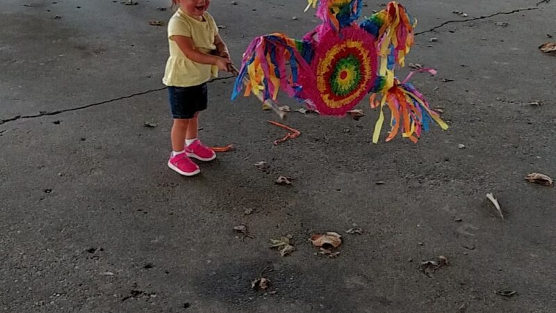 Newman City Park - Newman, IL