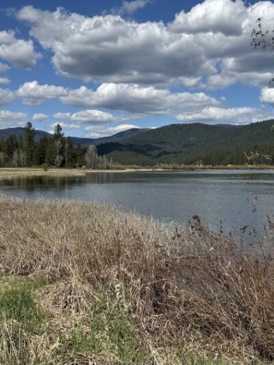 McKenzie Conservation Area - Newman Lake, WA