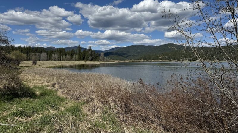 McKenzie Conservation Area - Newman Lake, WA