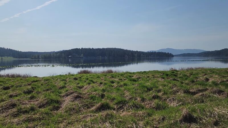 McKenzie Conservation Area - Newman Lake, WA