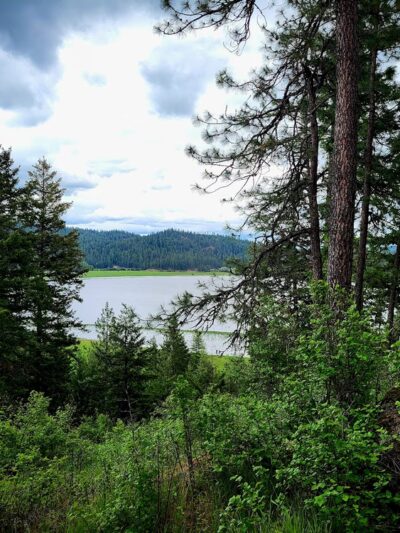 McKenzie Conservation Area - Newman Lake, WA