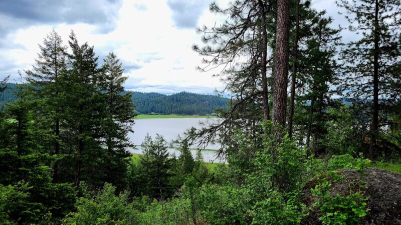 McKenzie Conservation Area - Newman Lake, WA