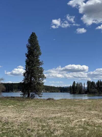 McKenzie Conservation Area - Newman Lake, WA