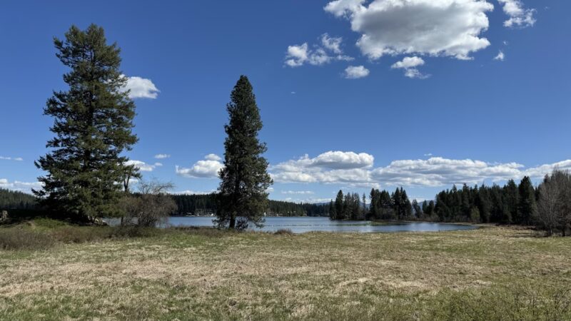 McKenzie Conservation Area - Newman Lake, WA
