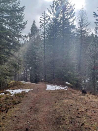 McKenzie Conservation Area - Newman Lake, WA
