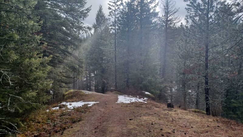 McKenzie Conservation Area - Newman Lake, WA