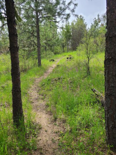 Hauser Conservation Area - Newman Lake, WA