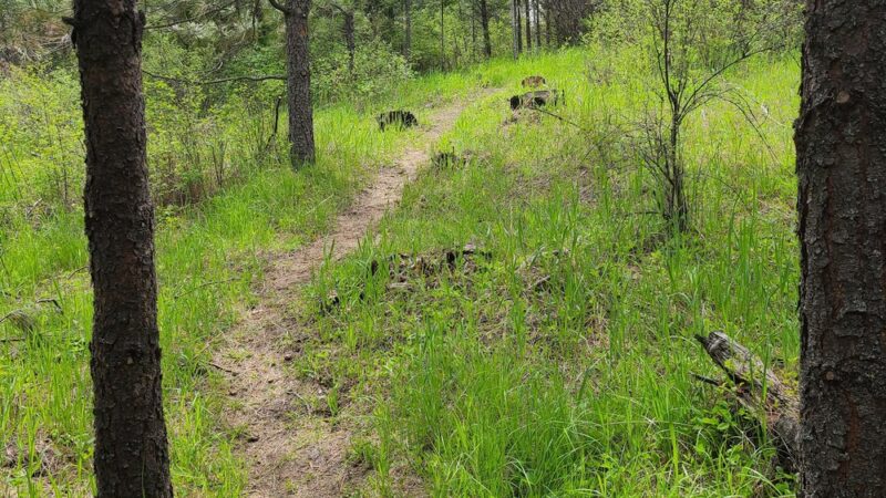 Hauser Conservation Area - Newman Lake, WA