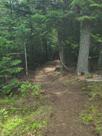 Hauser Conservation Area - Newman Lake, WA