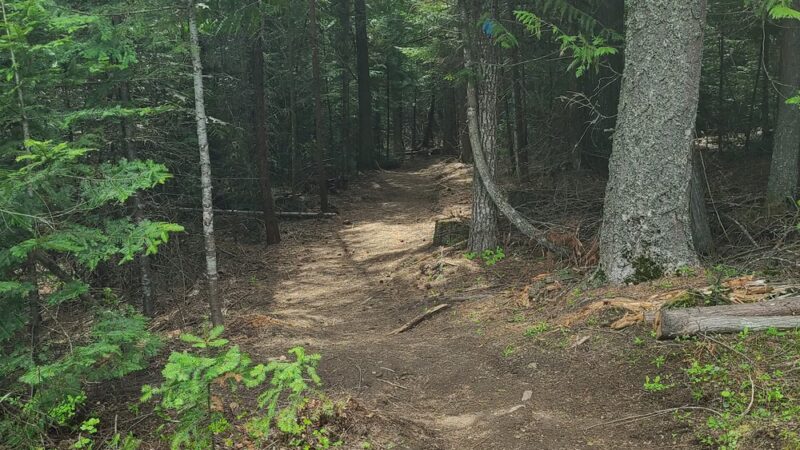 Hauser Conservation Area - Newman Lake, WA