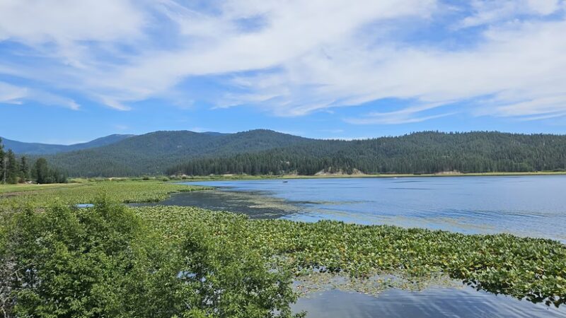 West Newman Lake Drive Trailhead - Newman Lake, WA