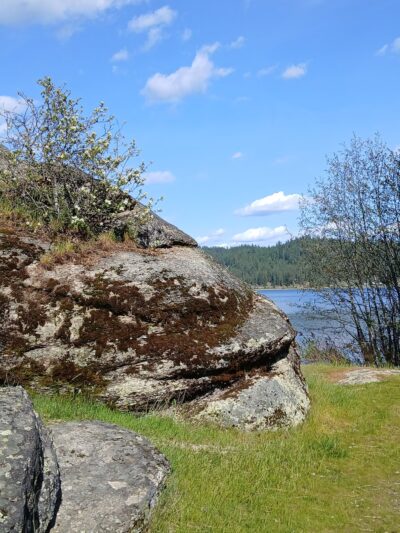 West Newman Lake Drive Trailhead - Newman Lake, WA