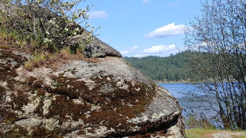 West Newman Lake Drive Trailhead - Newman Lake, WA