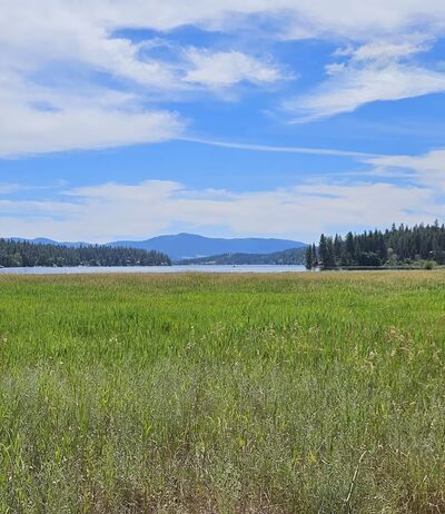 West Newman Lake Drive Trailhead - Newman Lake, WA
