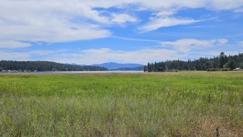 West Newman Lake Drive Trailhead - Newman Lake, WA