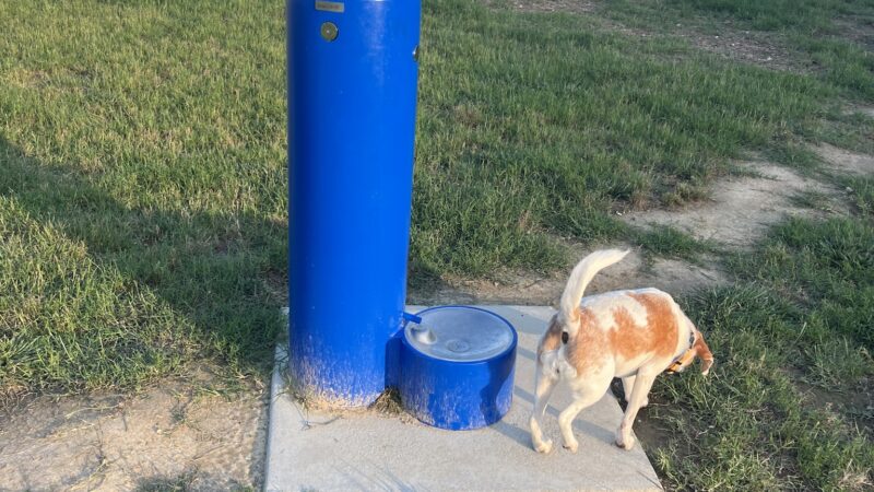 Huntington Pointe Pet Park - Newport News, VA