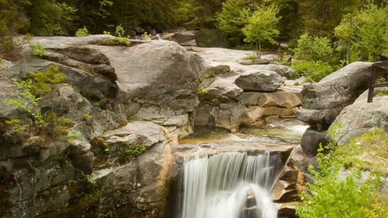 Grafton Notch State Park - Newry, ME